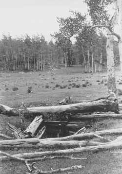 Prospect hole at Cameron, Dick Dixon