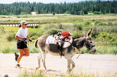 Barb Dolan racing