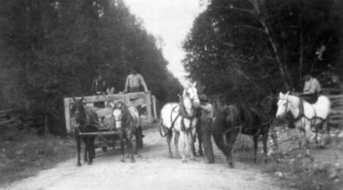 Highway 50 through the ranch before it was Highway 50, in about 1920.