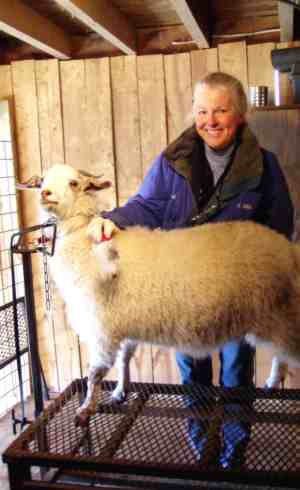 Suzanne Roth combing a goat