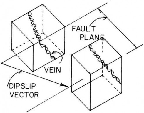 Figure 4: Dipslip fault vein displaced down and laterally.