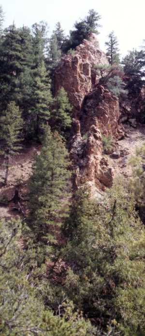 A fault usually grinds the rocks on each side of it to bits. Thus faults are easily eroded and become swales, gullies, or similar linear depressions. Here, hot water that carried minerals (probably the result of igneous activity) invaded and poured through the fault area. The resulting structure was more resistant to erosion than the surrounding rocks, and they have been carried away. The result is this silcified fault breccia sticking out of the ground. This is part of the Wellsville Anticline Structure east of Salida.