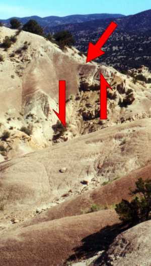 This photo from near the mouth of Castle Creek east of Salida shows a reverse fault which has uplifted the rocks on the right. Notice that the beds on the left dip to the left. The plane of the fault strikes obliquely from left to right, and dips very steeply to the right. Displacement is about 14 feet.
