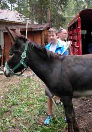 Meeting the burro (Laurel McHargue)