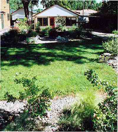 Yard after Xeriscaping in 2005