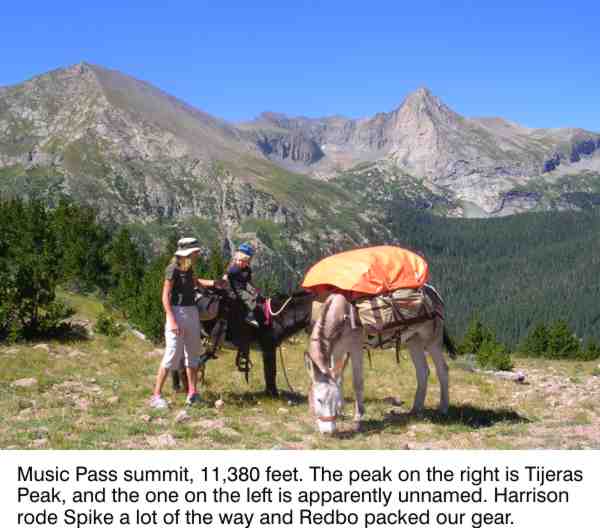 Mary, Harrison, Spike, and Redbo atop Music Pass, 11,380 feet.