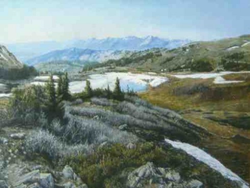 The View from Cottonwood Pass, by Jo Annette Sieve