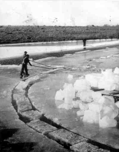 Harvsting ice on the Balman Ranch pond near Hillside in the 1920s