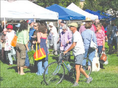 The Salida Farmers Market. Photo by Seth Roberts