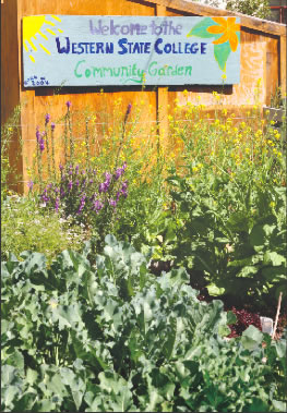 The community garden at Western State. Photo by M. Rosso