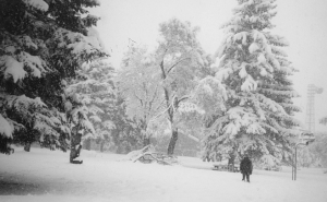 [Alpine Park on Thursday, May 3, 2001]