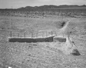 Straw Bales in pattern along U.S. 285 in Saguache County