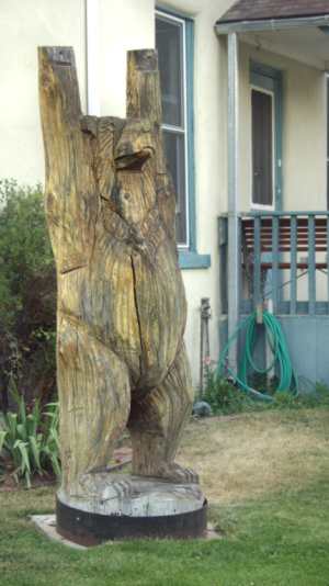 Chainsaw bear in Salida yard, photo by Mike Russo