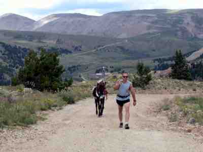 Mike and Dotty on the west side of Mosquito Pass (Laurel McHargue)