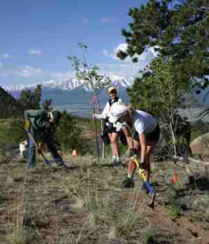Volunteers working on trail above Buena Vista.