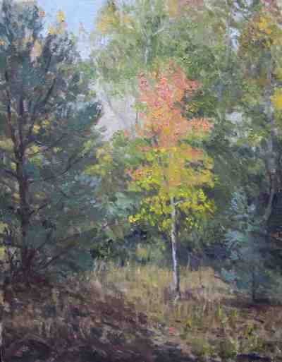 Crison Aspen, 11x14 inches, oil on linen, by David Montgomery