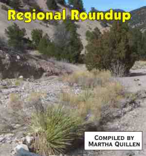 Regional Roundup heading, photo taken in Castle Gulch