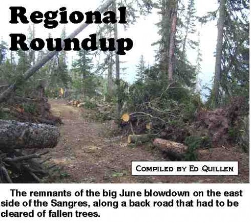 Remnants of big blowdown on east side of Sangres