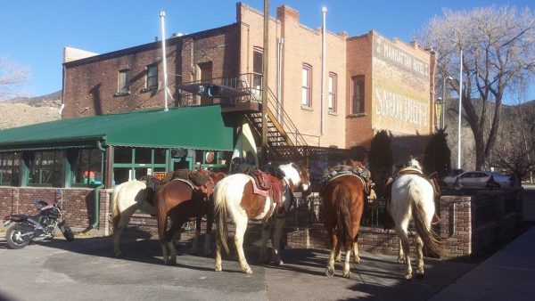 This stable of horses was found parked behind the Boathouse Cantina in downtown Salida on Feb. 7. The owners, who had been riding in the hills around Tenderfoot Mountain, decided on a whim to whet their whistles at the bar. Not having any cash on hand, one of the riders reportedly left his cellphone as collateral against the beverages. Photo by Gayle Anne Dudley.