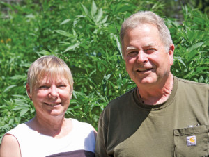 Toni and Gunn Haydon in front of their hemp crop at their farm in Cañon City. Photo by Mike Rosso.