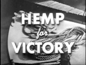 A government-produced film, Hemp for Victory, was shown during World War II to encourage farmers to grow the plant. It became illegal again shortly after the end of the war.
