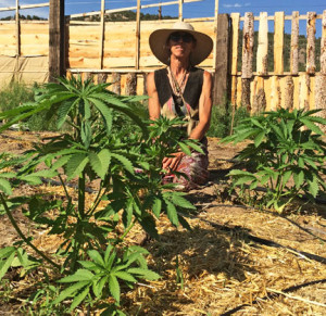 Kim Donner with some young hemp plants at her Howard farmhouse. Photo by Mike Rosso