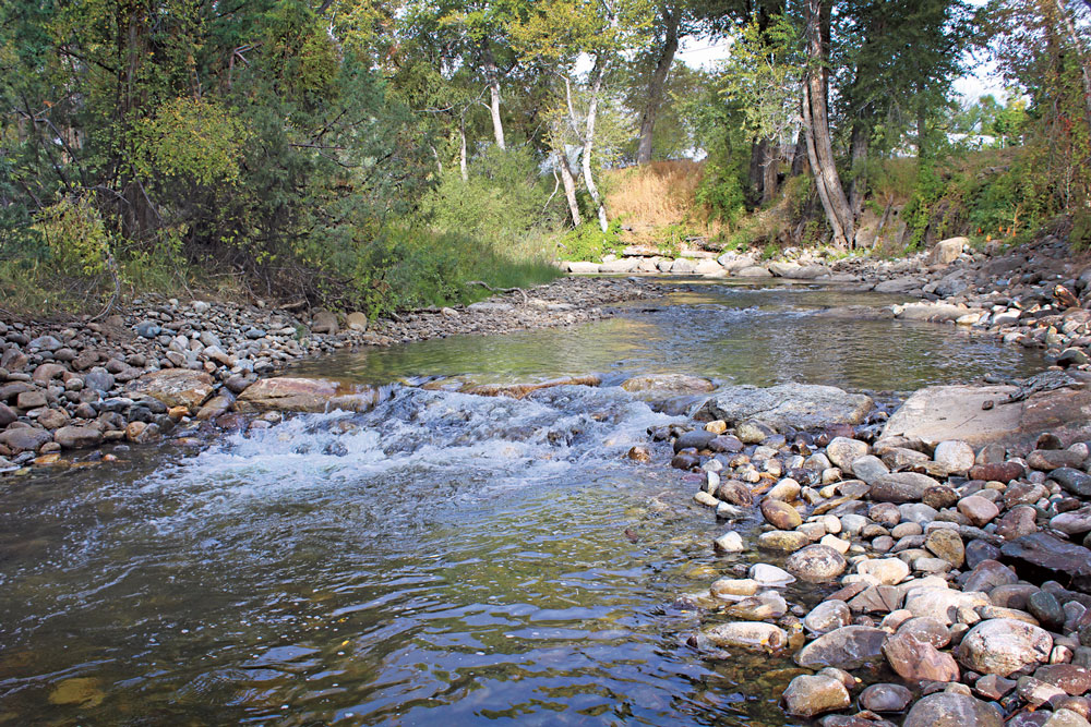 A restored section of the South Arkansas River near Poncha Springs offers more natural flows, improved riparian habitat along the banks, and better habitat for fish. The Land Trust of the Upper Arkansas (LTUA) will restore additional sections of the river this summer. Photo by Kim Marquis.