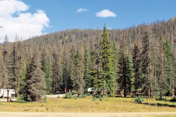 Spruce beetle mortality in the vicinity of Spring Creek Pass,  Gunnison National Forest, Colorado. Courtesy of Bob Cain, USDA Forest Service, Rocky Mountain Region.