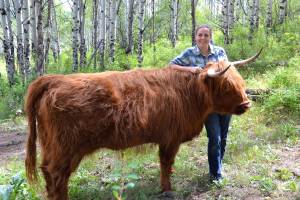 SD-5 candidate Kerry Donovan pictured with Rosie, one of her Highland cattle. Courtesy photo.